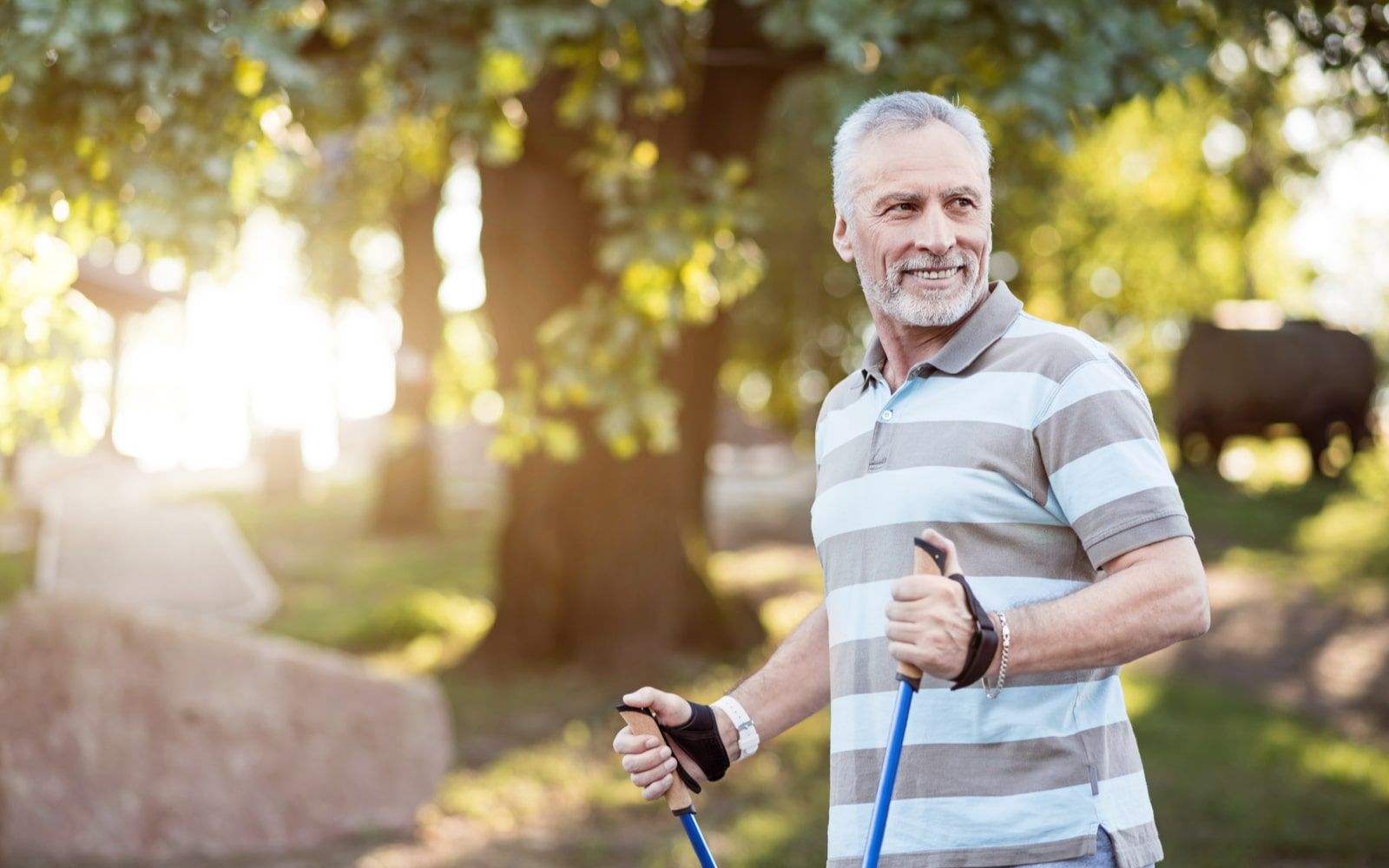 Healthy Older Man Exercising in Daylight